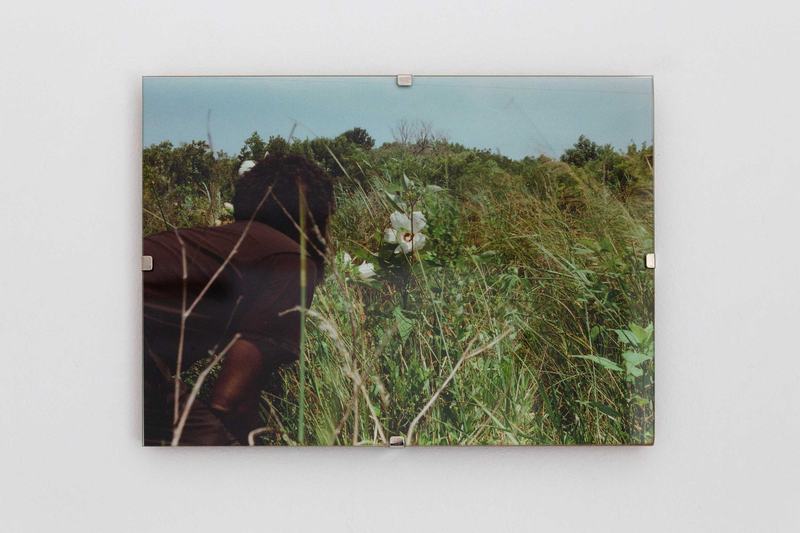 Photograph in clip frame on white wall. A man in a meadow, blue sku, a flower.